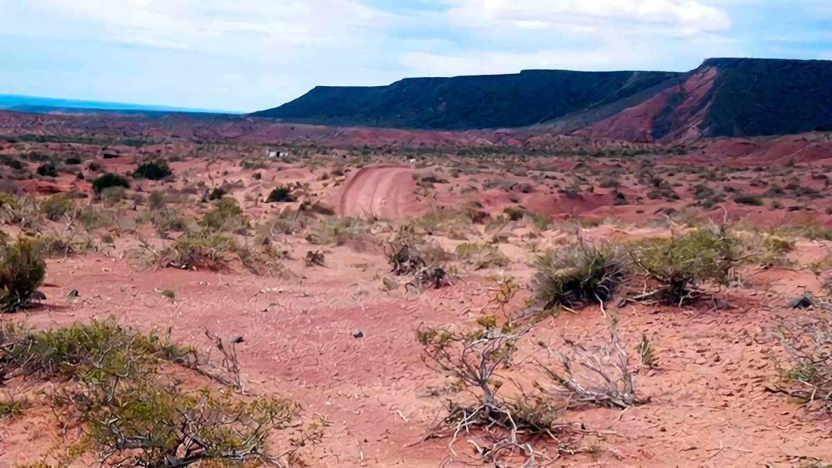 Paisaje natural de las afueras de Plaza Huincul. Fuente: (Twitter)