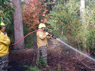 Denunciaron un principio de incendio en Villa La Angostura e intervino Incendios Forestales