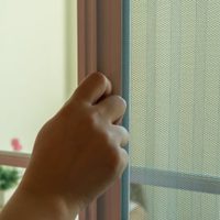 El trucazo para limpiar los mosquiteros de casa en menos de 10 minutos y sin arruinarlos
