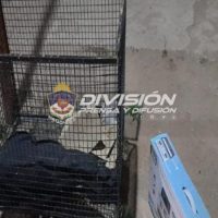 Una pareja demorada por robo en Cutral Co