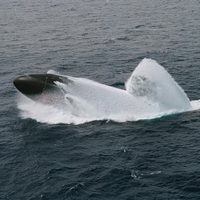 Rusia pide explicaciones a EU tras detectar un submarino en sus aguas territoriales