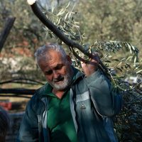 Millones perdidos en aportes jubilatorios por la informalidad