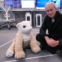 El creador de Roomba busca conquistar el mercado doméstico con un robot mascota que funciona con IA