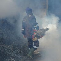 Gobierno de Jalisco compró tarde el insecticida contra el dengue: Contralor