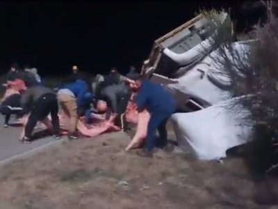 Un camión cargado con más de 20 mil kilos de carne fue saqueado tras volcar en San Luis