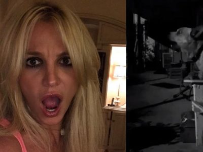 ¡SORPRENDENTE! “Perro-Spears”, el nuevo príncipe del pop que ¡canta igual que Britney!