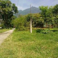 Hallan nuevas fosas clandestinas en zona centro de Veracruz