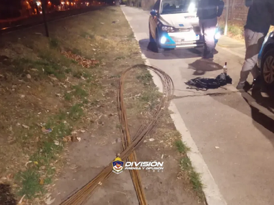 Los atraparon cuando escapaban luego de robar hierros para la construcción