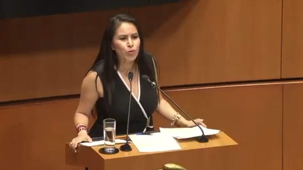 La senadora de Morena Simey Olvera