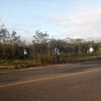 Por sequía, declaran 'zona de desastre” a Palenque, Copainalá, Chilón y Ocosingo
