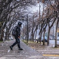 Cómo estará el clima en tu localidad