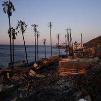 Los Oscar retrasan anuncio de nominaciones por incendios en California