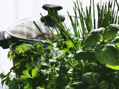 Enriquece tu cocina: tres plantas aromáticas fáciles de cuidar