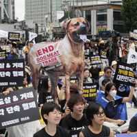 Corea del Sur veta la producción y venta de carne de perro