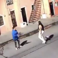ONG denuncian emergencia nacional de violencia feminicida; exigen respuesta