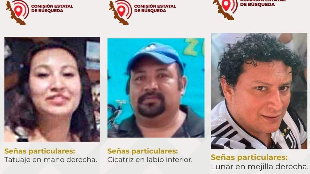 Fichas de búsqueda