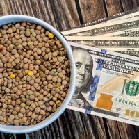 El poderoso ritual con pocos ingredientes que podés preparar en casa para atraer mucho dinero
