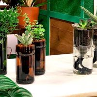 No tires las botellas plásticas y usalas para fabricar un autorriego para tus plantas