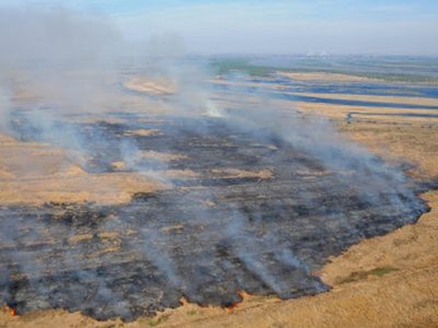 Incendio en el delta del Paraná: ya se quemaron 90 mil hectáreas