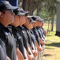 Brigada animal pone en resguardo 71 perros y 5 cachorros