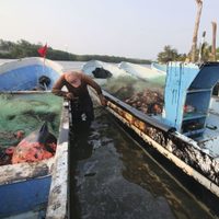 Pescadores afectados sobre derrame de Pemex en Tabasco: “Autoridades se hacen de la vista gorda”