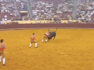 Tragedia en los toros: joven forcado muere tras ser embestido (Video)