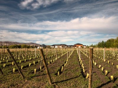 Un sitio para descansar en la estepa chubutense