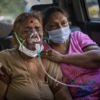 Crisis sanitaria en India: el papa Francisco envía un mensaje de consuelo al país