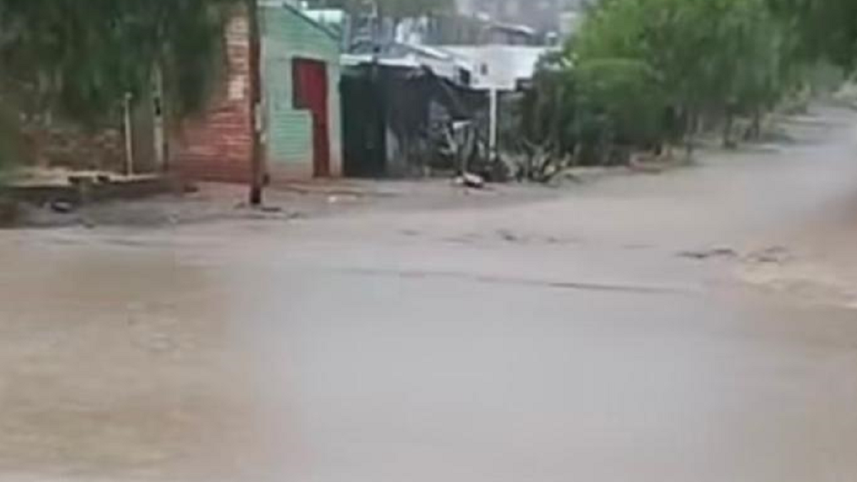 Un desastre anunciado.