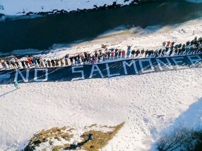 Tierra del Fuego es el primer lugar en el mundo donde se prohíbe por ley la cría de salmones