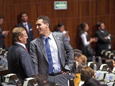 PVEM: Una historia de trampas