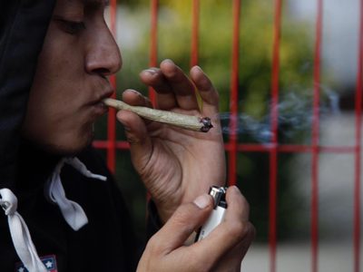 Senado prevé aprobar la regulación de la mariguana antes del 30 de abril