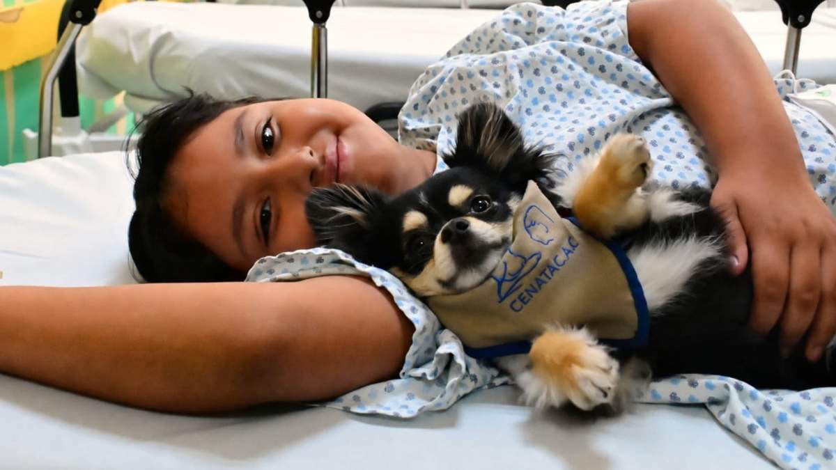 Perros de distintas razas protagonizan el “Jueves de Perritos”, como parte del programa del INP en colaboración con el Centro de Actividades y Terapias Asistidas con Caninos (CENATAC)