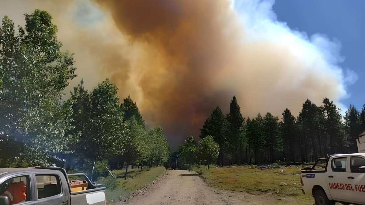 El incendio en Aluminé esta más de 24 horas activo. Fuente: (Twitter)