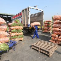El INTA brinda un protocolo para distribuir bolsones de verduras