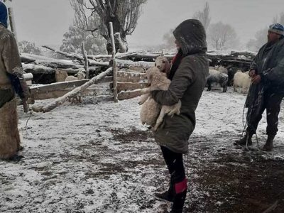 La dura tarea de los crianceros del interior neuquino para proteger a los animales en la nieve