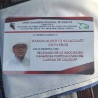 Asesinan a Ramón Velázquez, integrante de la Unión Regional Ganadera de Sinaloa