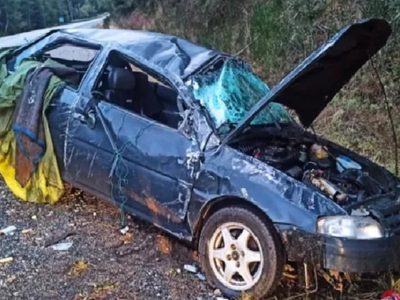 Volcó un auto en la Ruta 40 por esquivar a dos jabalíes