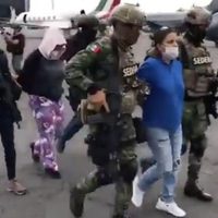 Cae 'La Teniente” y su pareja, integrantes claves del Cártel del Noreste