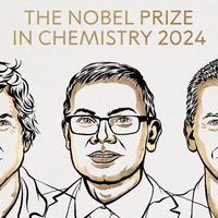 Nobel de Química para tres científicos por su trabajo en proteínas