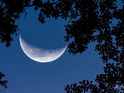 Horóscopo semanal: qué emociones despierta la Luna menguante en Piscis del 10 al 16 de agosto para cada signo del Zodíaco