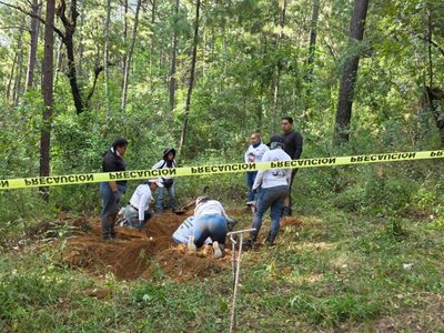 Encuentran cuatro cuerpos en predio del diputado del Sombrero, Carlos Bautista Tafolla