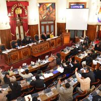 URGENTE: Cámara de Diputados de Bolivia aprueba una ley que extiende el mandato de Áñez