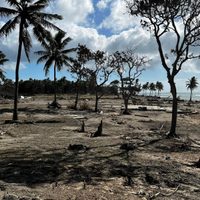 A un mes del tsunami en Tonga finalmente se supo qué tan devastadores fueron los daños