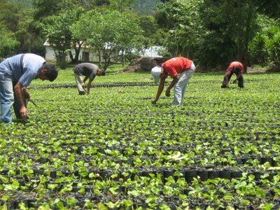 Ministerio de Agricultura destina dinero para productores en emergencia