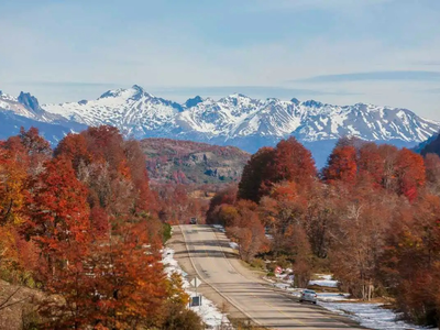 Colores de otoño en la Patagonia: paisajes imperdibles del Alto Valle a la cordillera