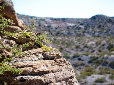 "Cruzada por el medio ambiente": El anuncio de la municipalidad de Neuquén