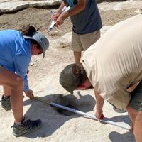 La sequía en un río de Texas sacó a la luz grandes huellas de dinosaurios