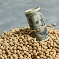 Dólar soja: todo lo que tenés que saber sobre la última medida del Gobierno