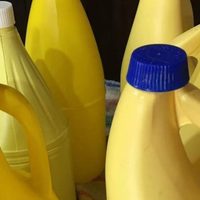 Sin gastar un peso: mirá cómo convertir los bidones de plástico vacíos en estas macetas divinas y modernas